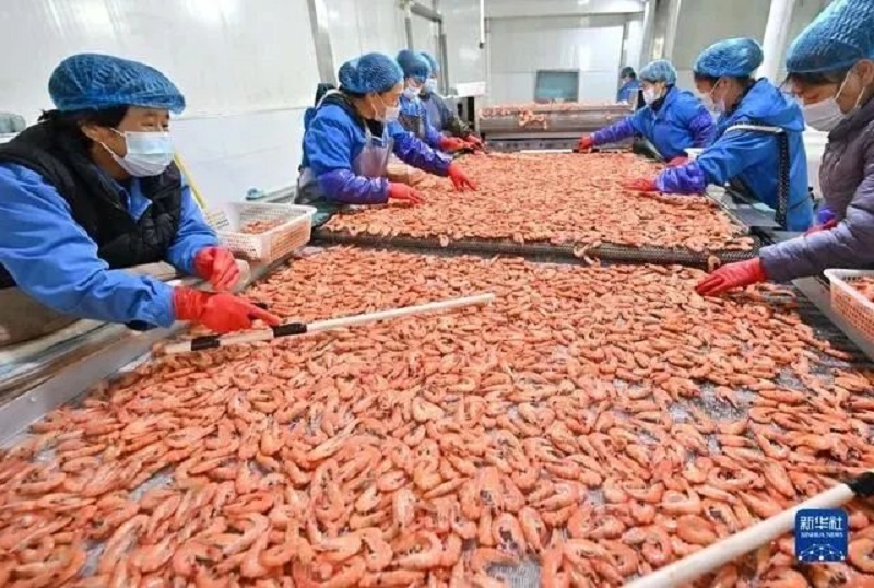 微信图片_20231019085308.jpg