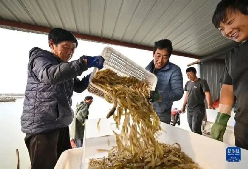 微信图片_20231019085354.jpg