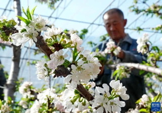 85AB330D-F08C-4DD7-B05F-07F987FD572D.jpeg