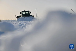 90815135-8E1A-41C5-94DE-EEC8654F6D2D.jpeg
