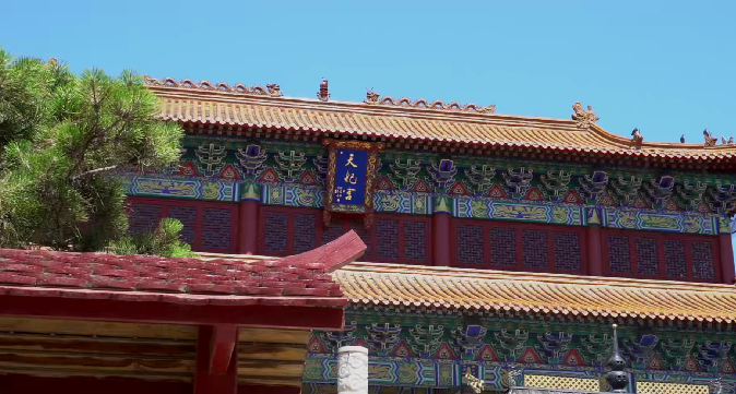 微信图片_2025-03-14_142046_422.png