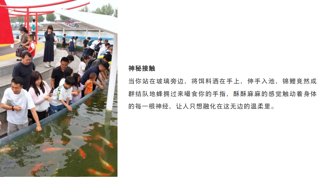 微信图片_2025-06-09_100046_817.jpg