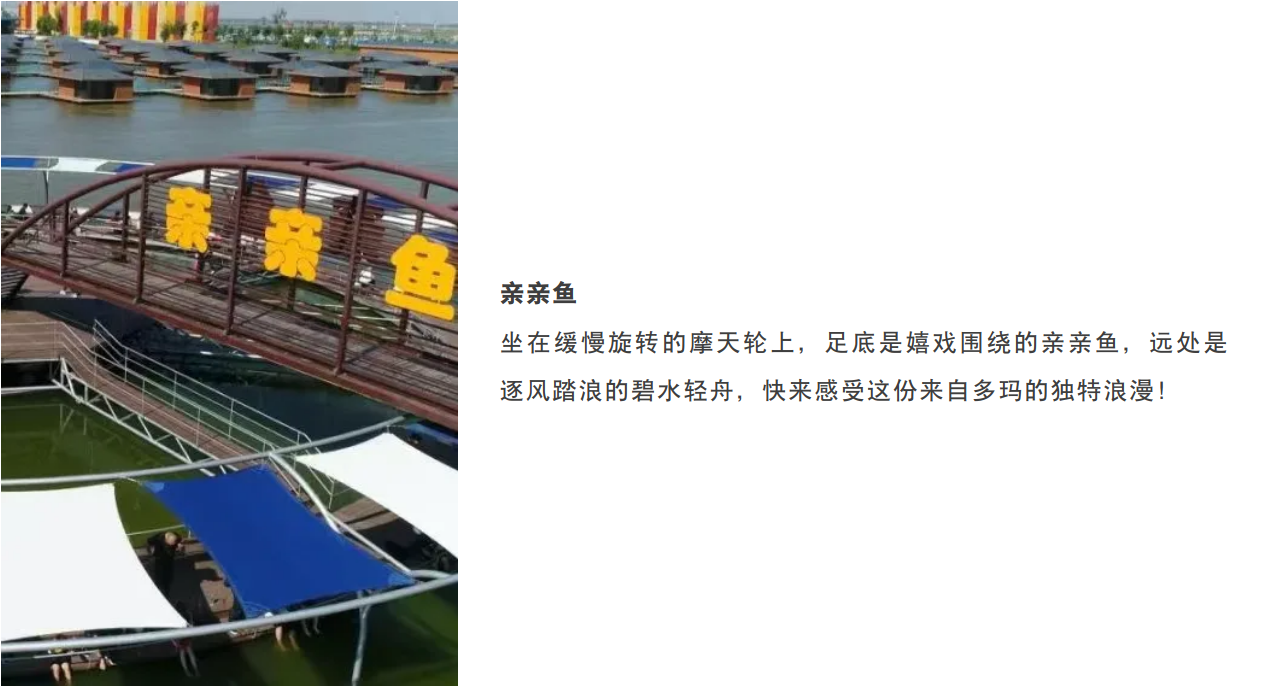 微信图片_2025-06-09_101800_723.jpg