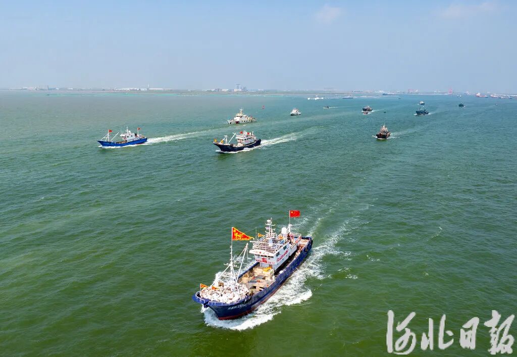 《河北日报》聚焦曹妃甸丨黄渤海伏季休渔结束，河北5000余艘渔船将陆续出海作业